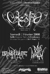02.02.08 - Celestia