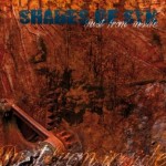 SHADES OF SYN - Rust from inside