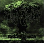 SIMULACRO - Fall Of The Last Idol